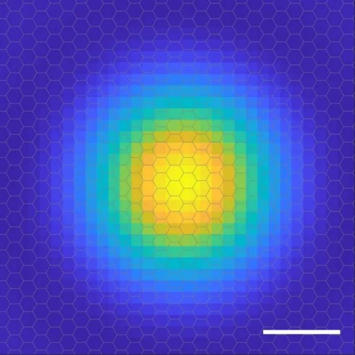 Een eeuw na ontdekking hebben mensen voor het eerst het elektronenorbitale beeld van excitonen vastgelegd